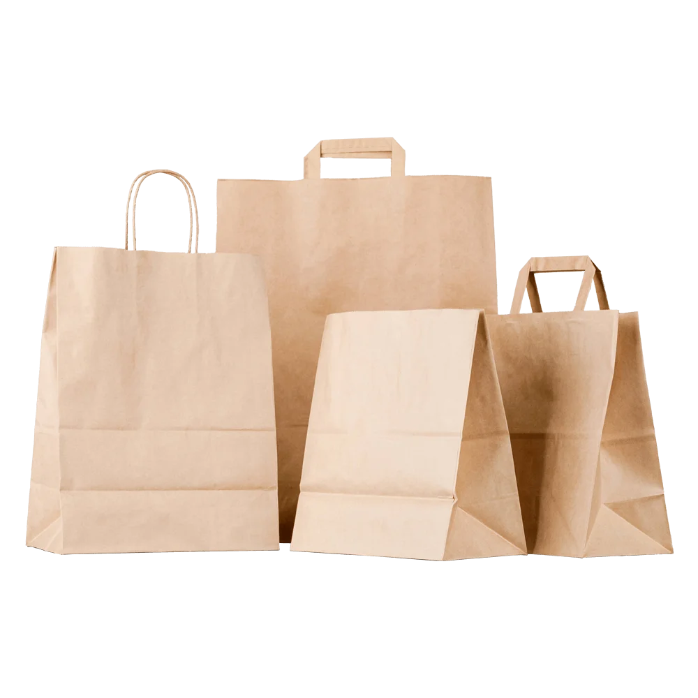 Paper Food Bag